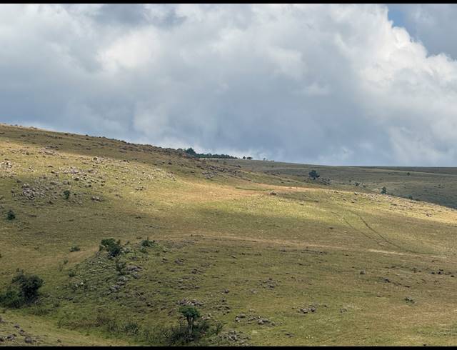 1,730HA FARM FOR SALE IN DARGLE